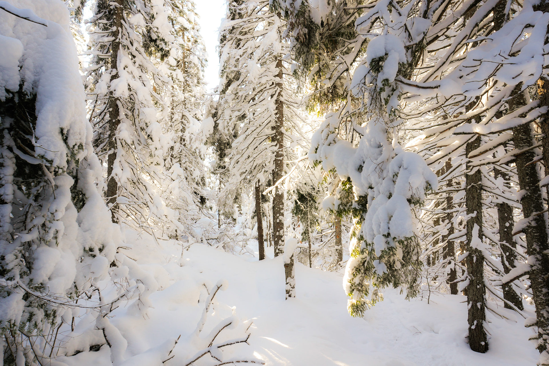 Parc régional des Sept-Chutes