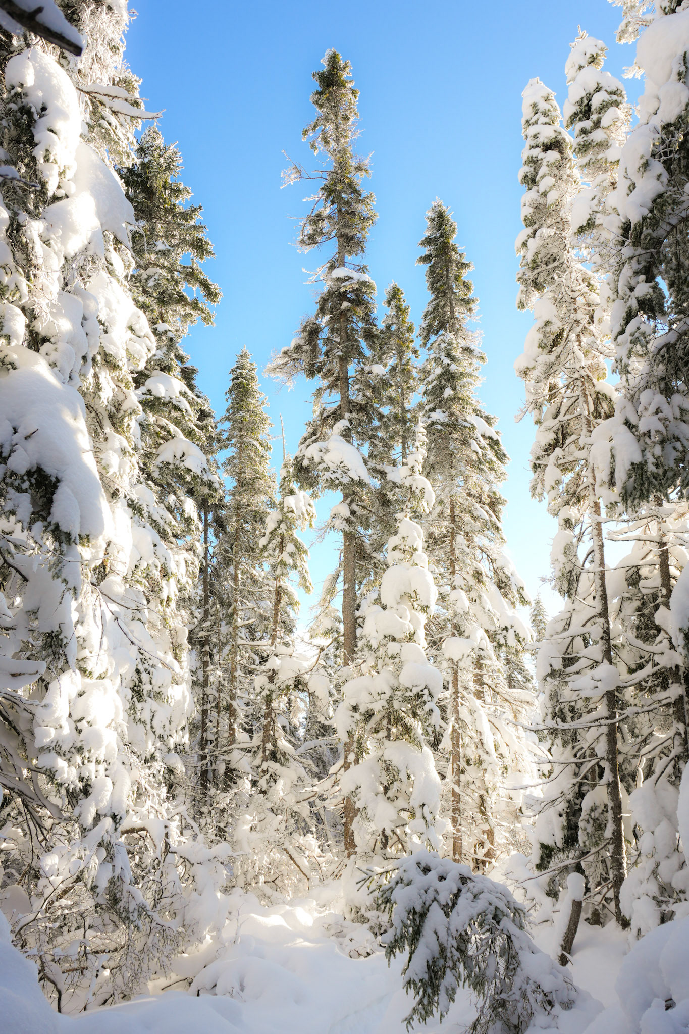 Parc régional des Sept-Chutes
