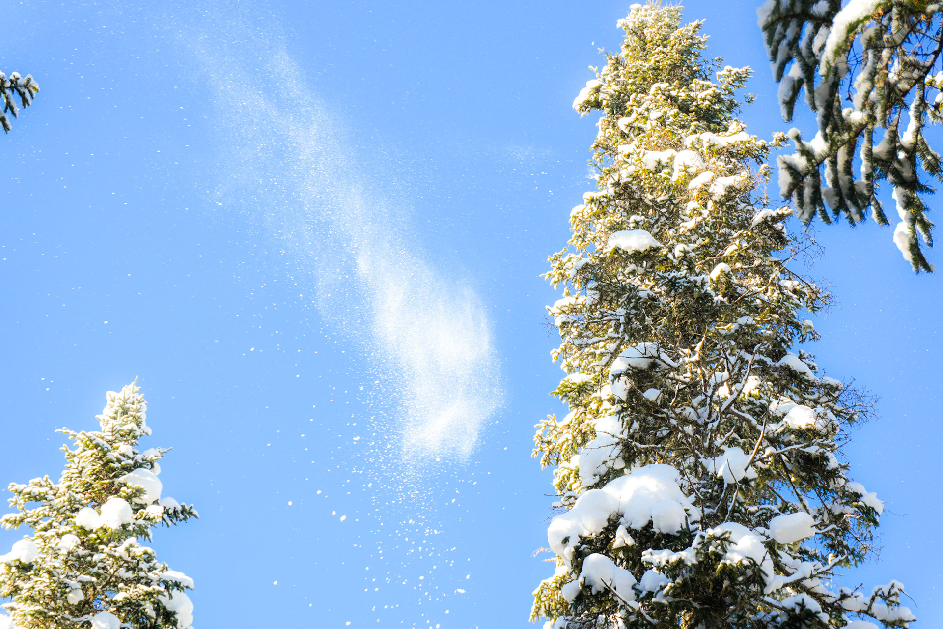 Parc régional des Sept-Chutes