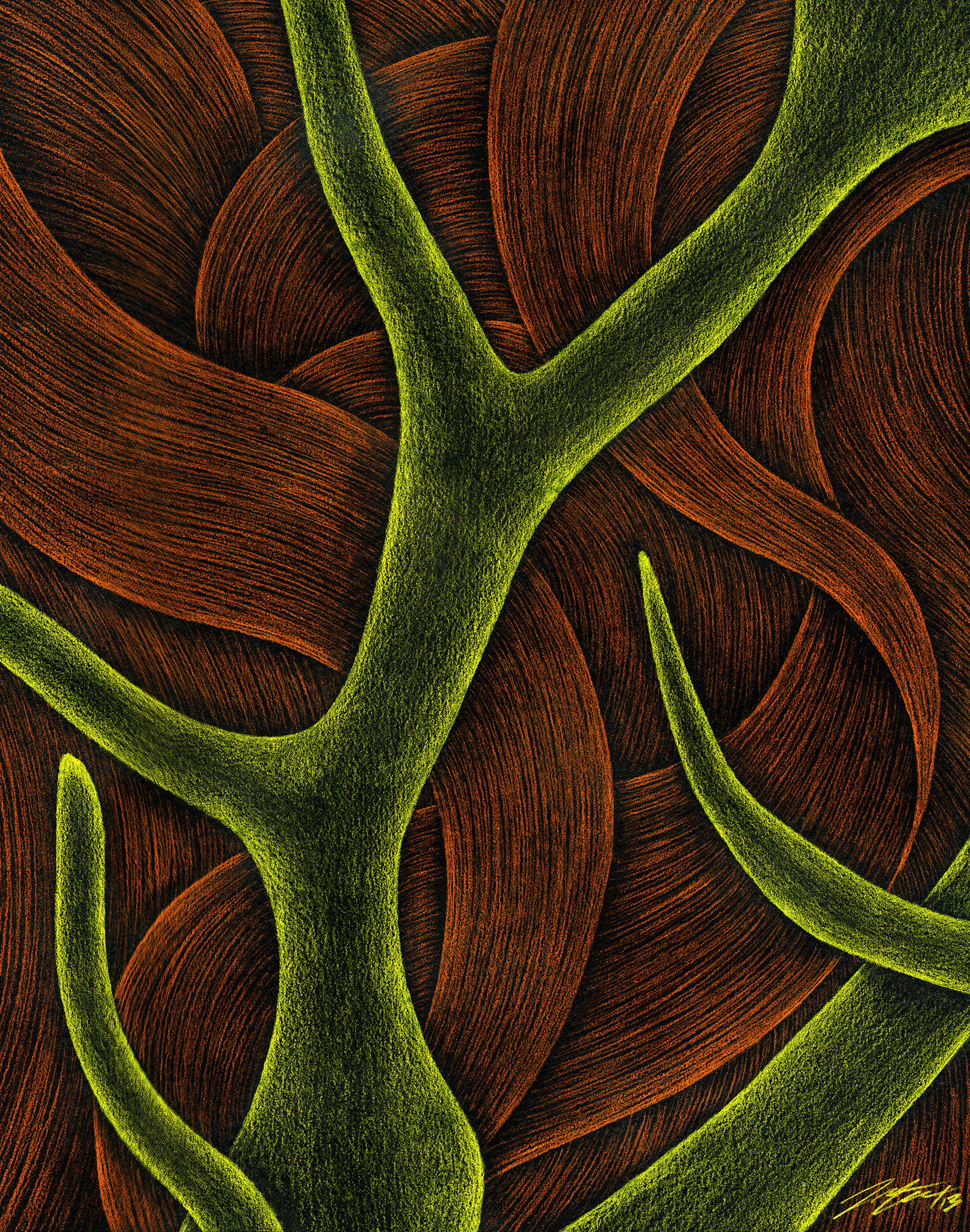 Autumn Elk, 12" x 14.5", Pencil Crayon on black Mayfair paper, 2013.