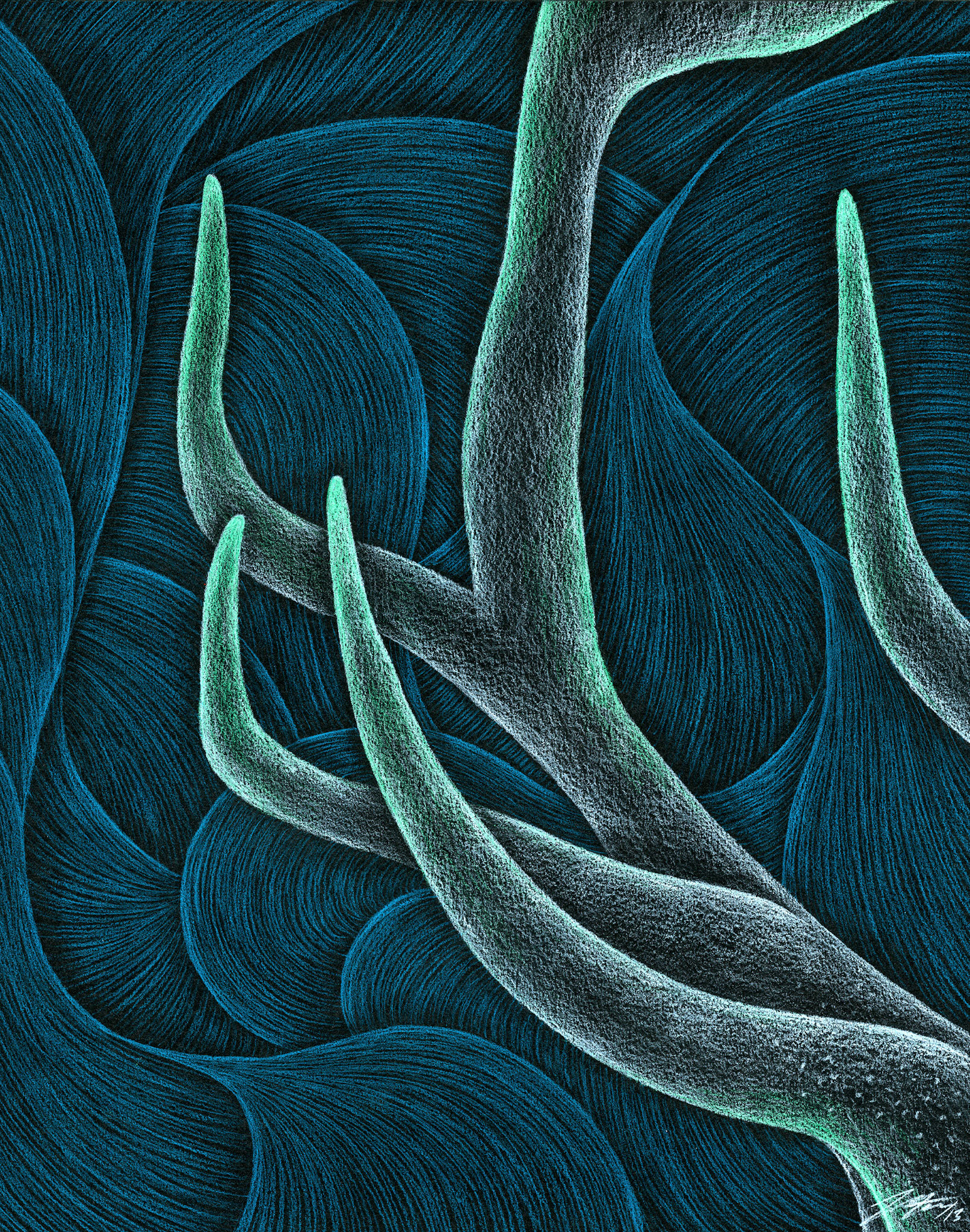 Spring Elk, 12" x 14.5", Pencil Crayon on black Mayfair paper, 2013.