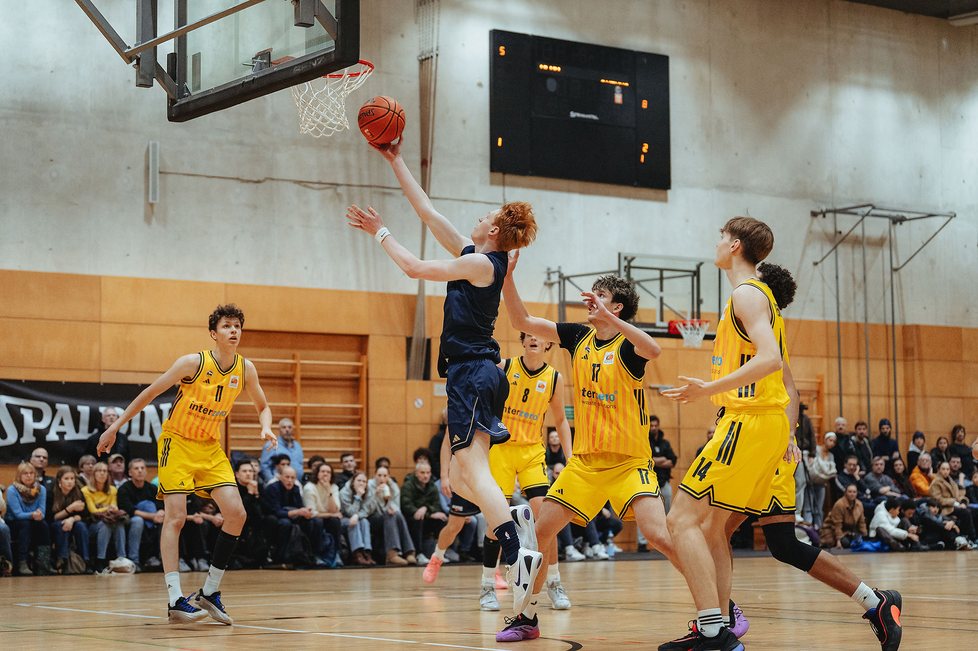 NBBL A - Gruppe Nord