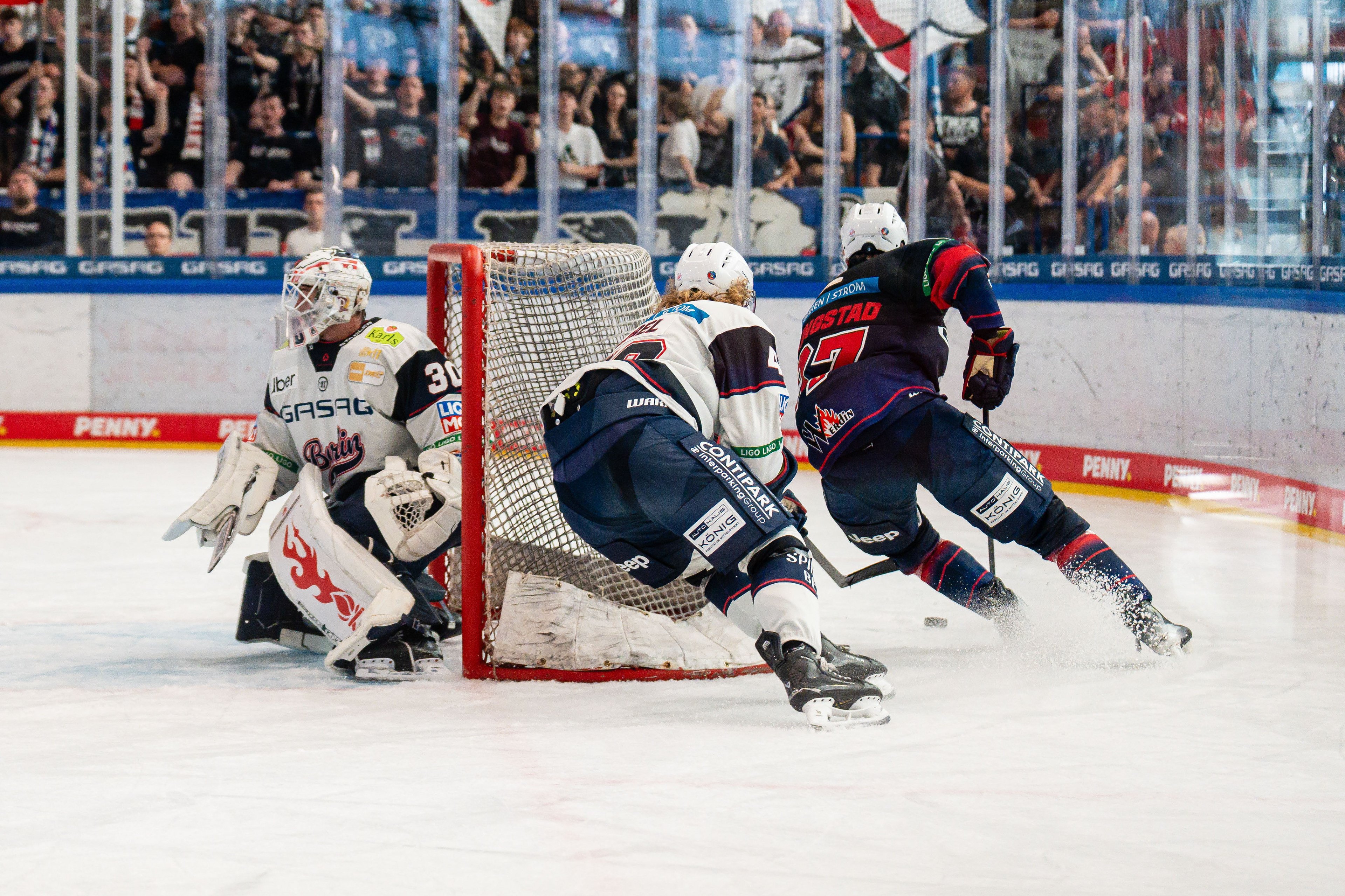 Öffentliches Training - Eisbären Berlin