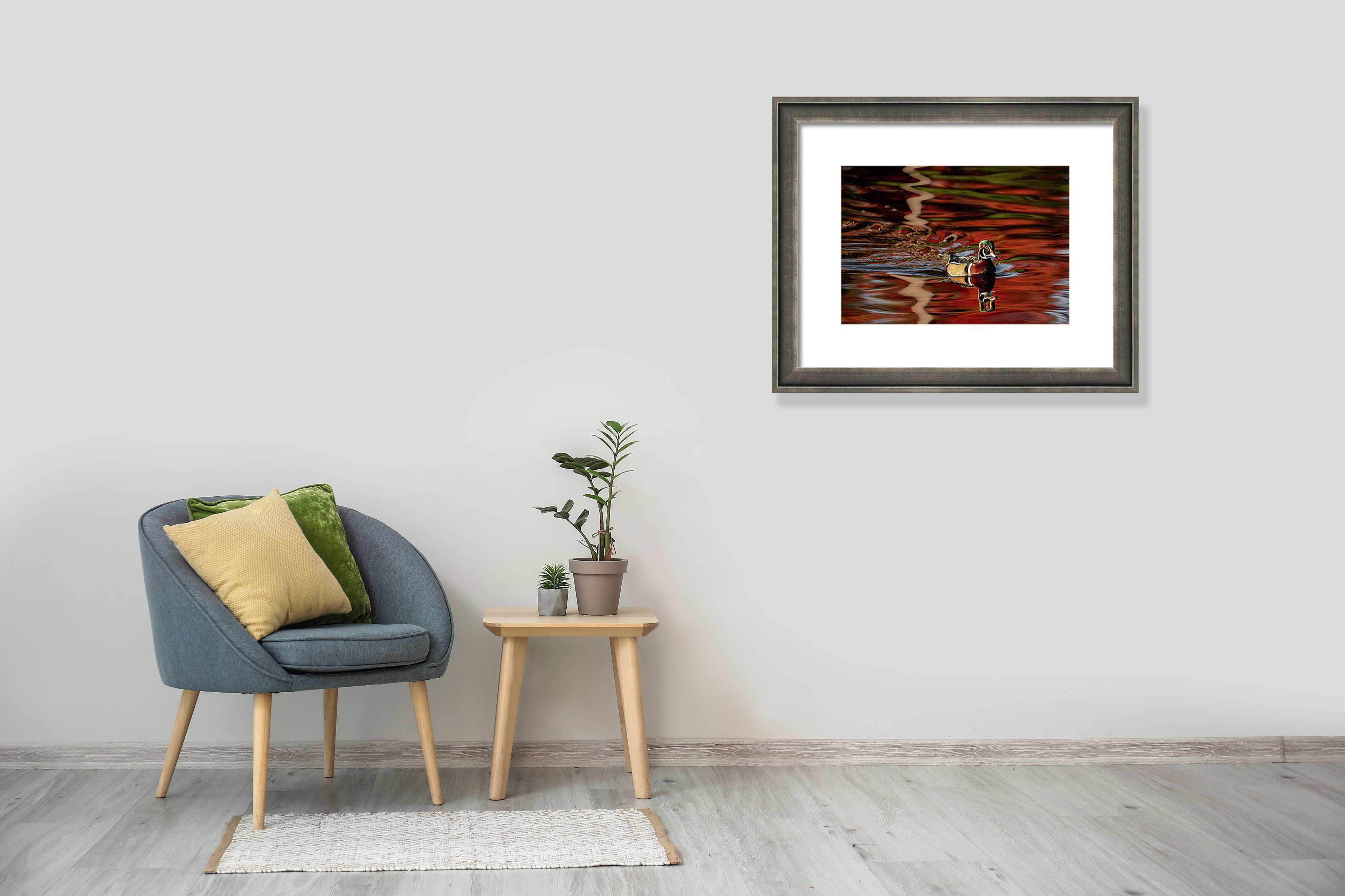 https://cindy-duclos.pixels.com/featured/wood-duck-and-autumn-hues-cindy-duclos.html?product=canvas-print
