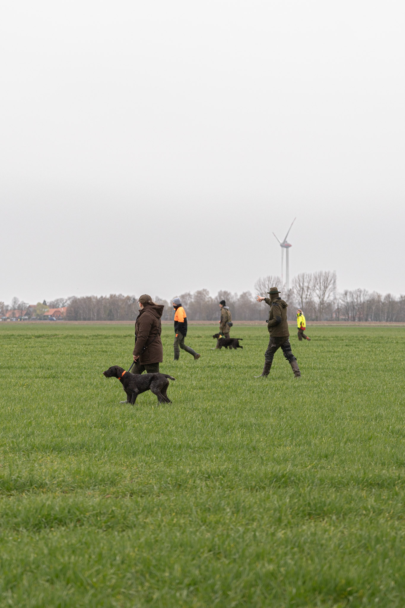 VJP (Verbandsjugendprüfung) VDD-Niedersachsen 2026