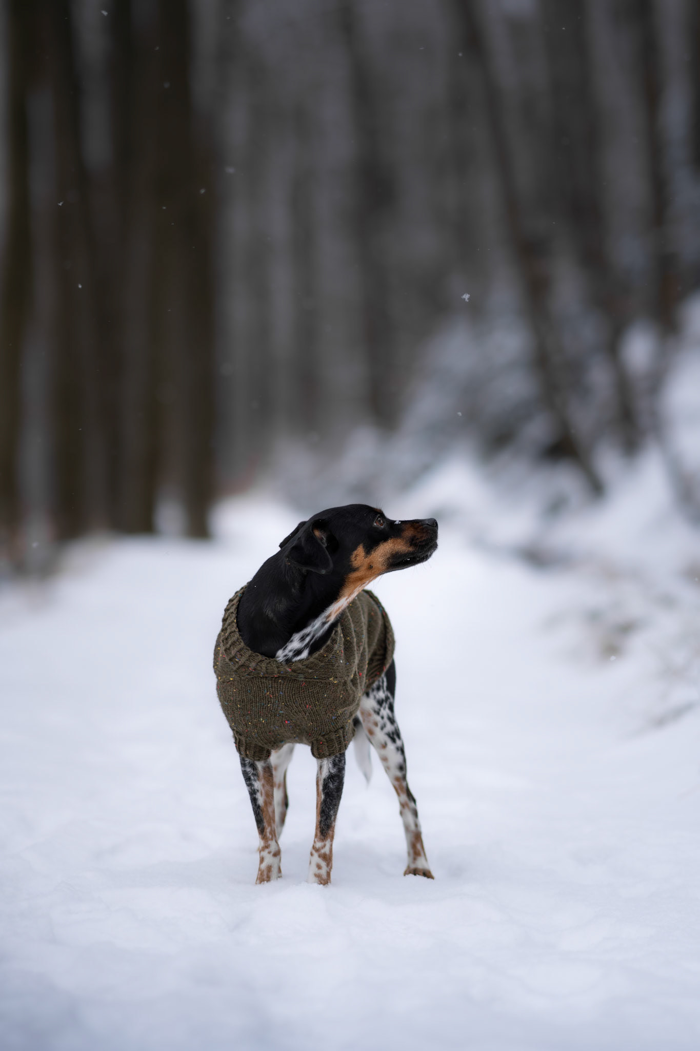 Winter