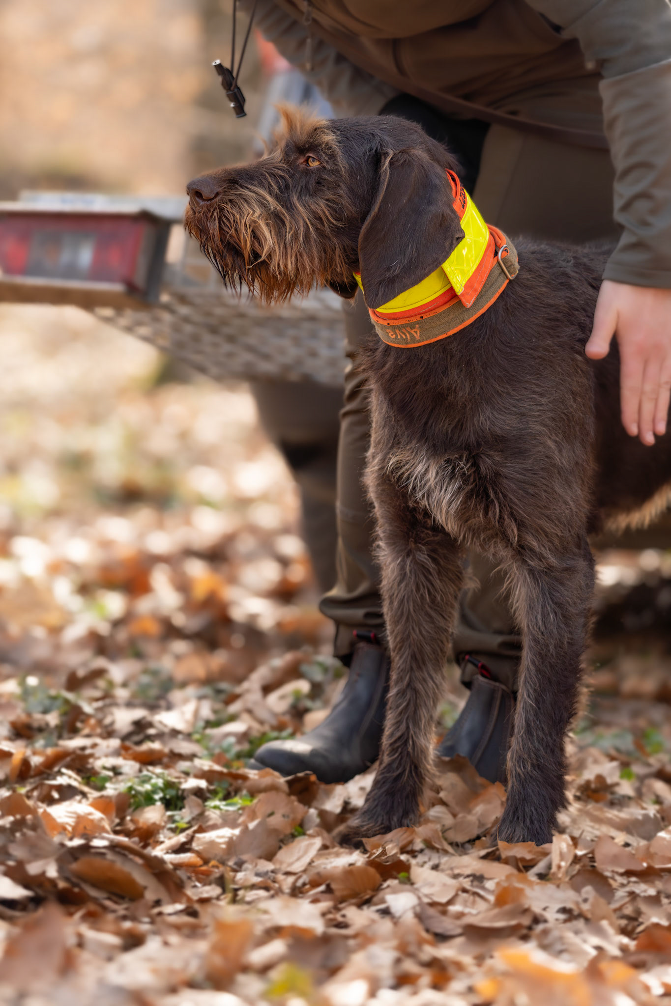 BTR JGV Peine 07.03.2026