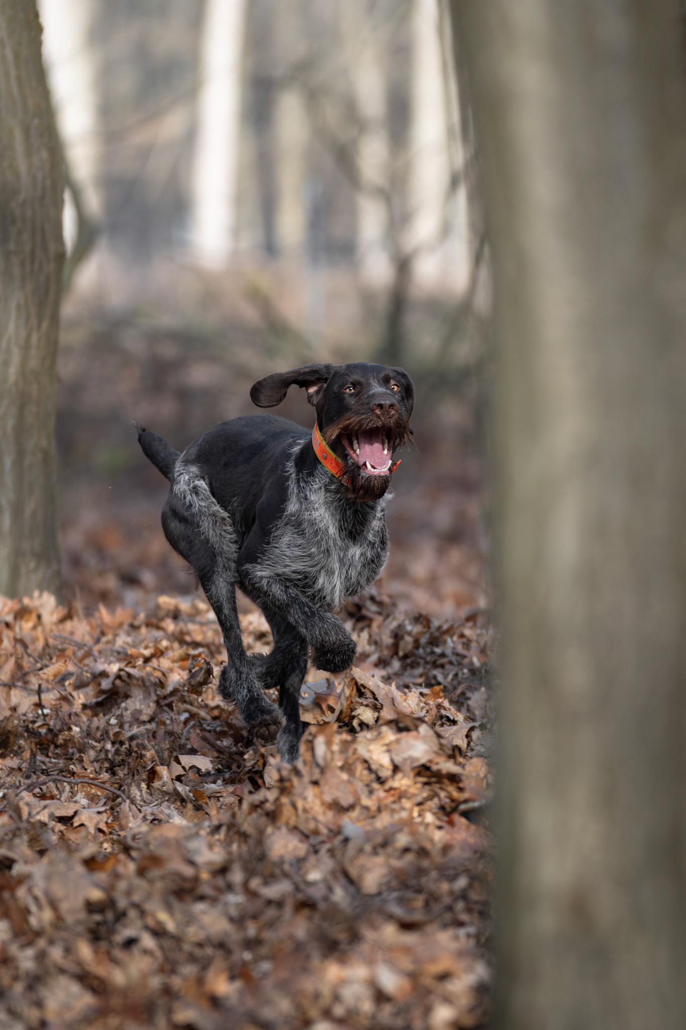 BTR JGV Peine 07.03.2026