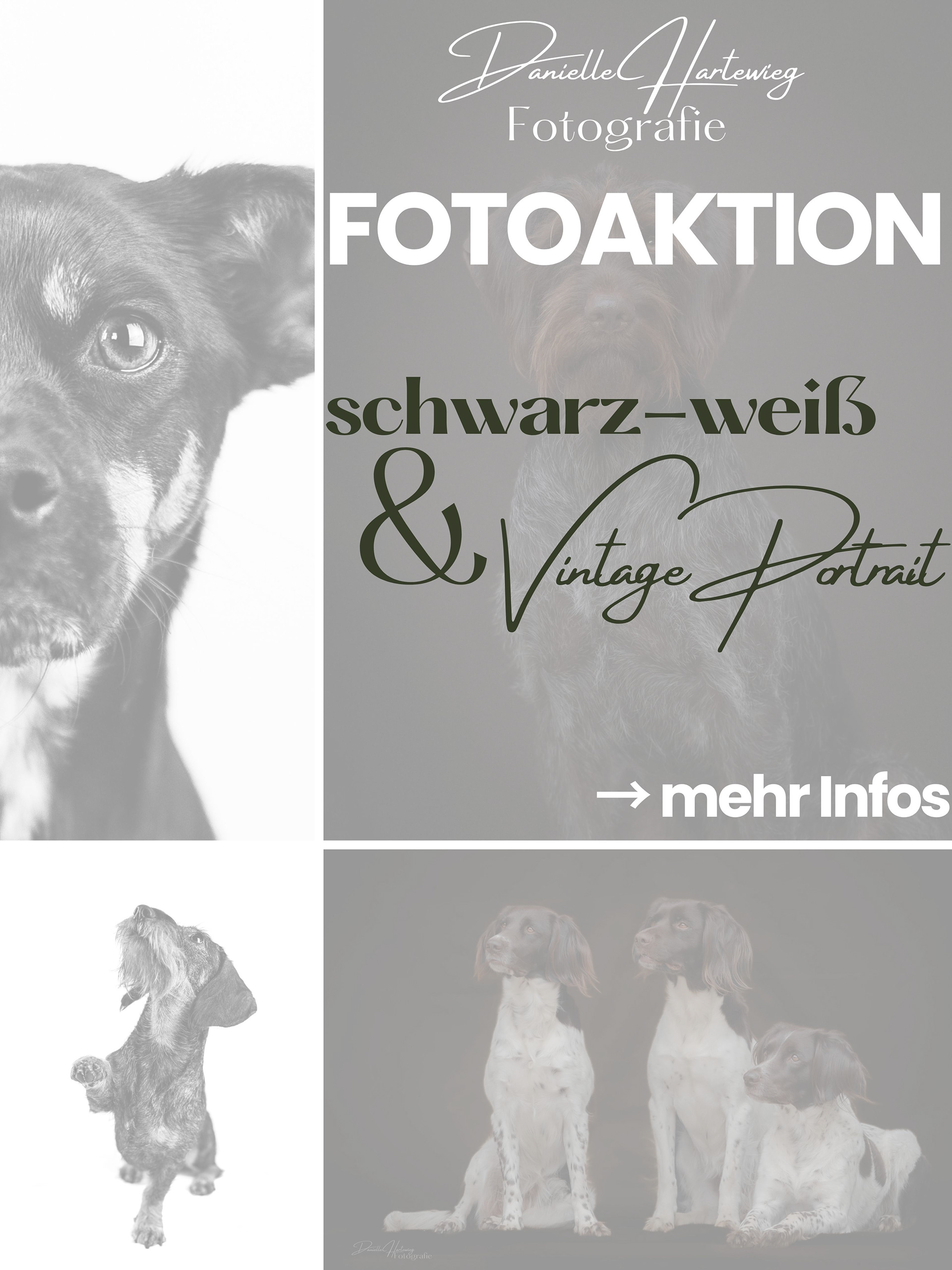 Für mehr Informationen schreibe mir eine kurze Nachricht 