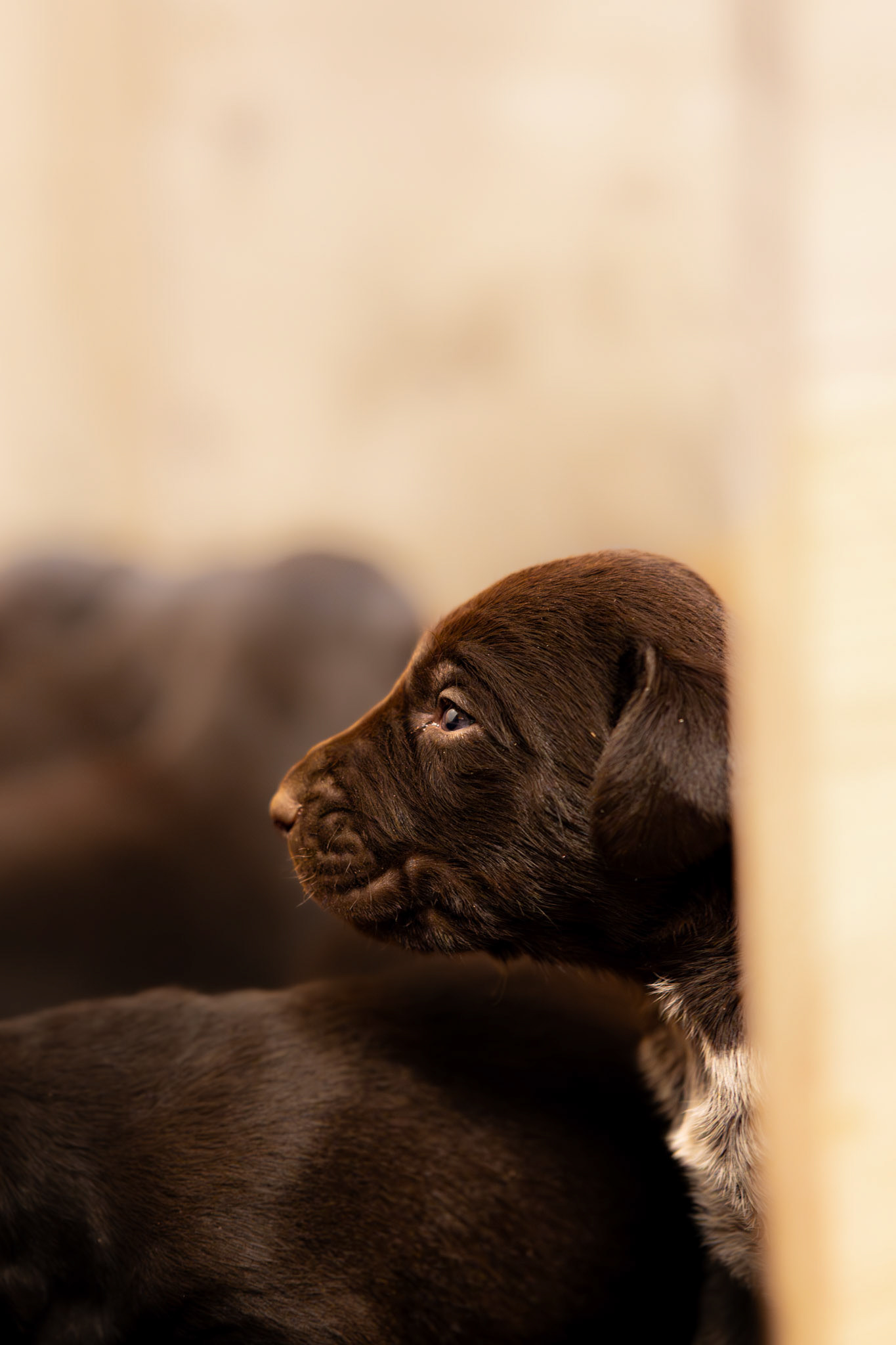 M-Wurf vom Bärenkopf 25.03.2026