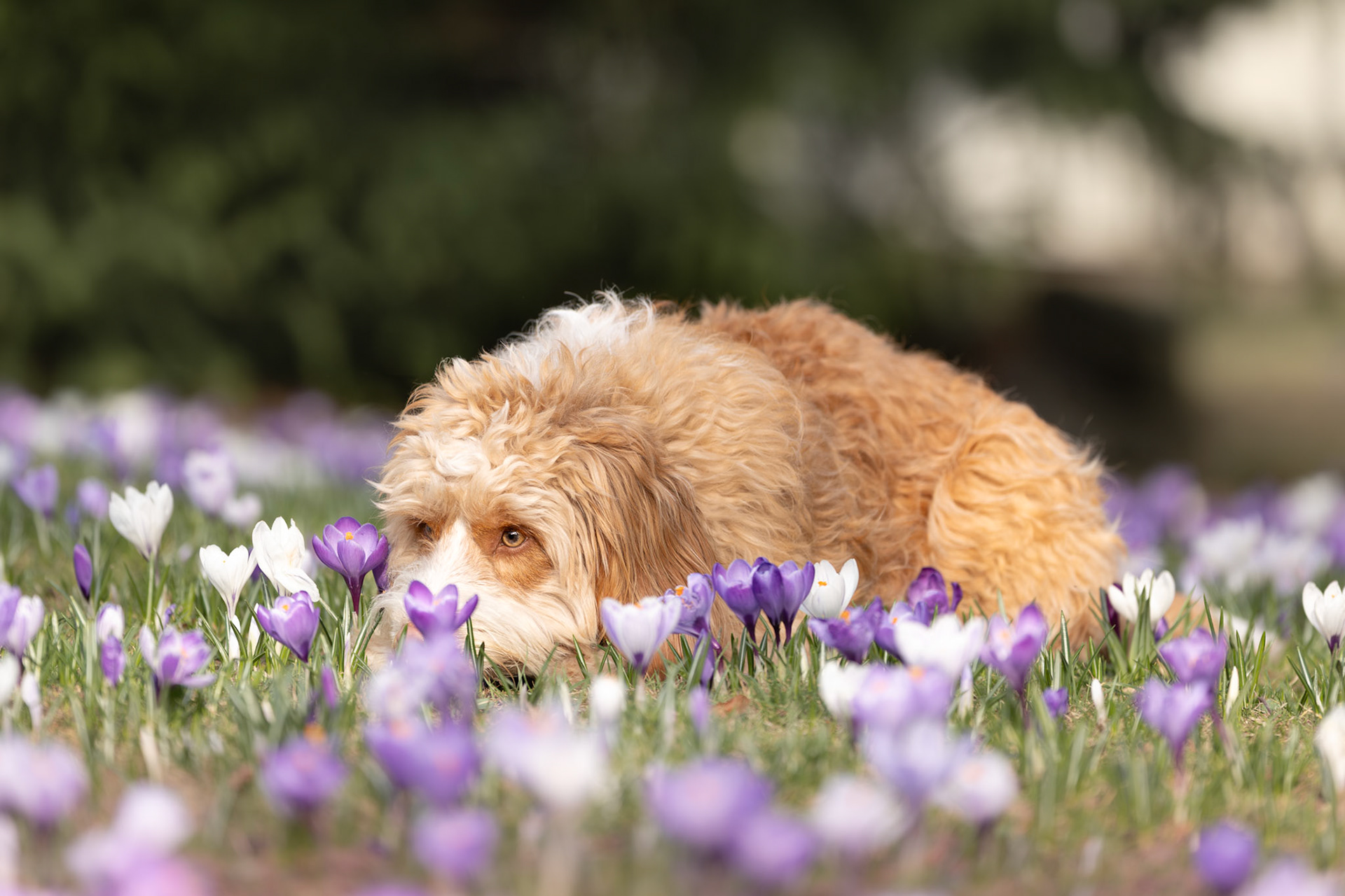 Frühling