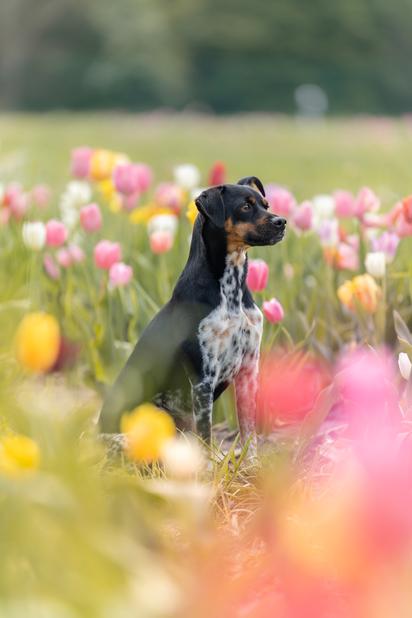 Frühling