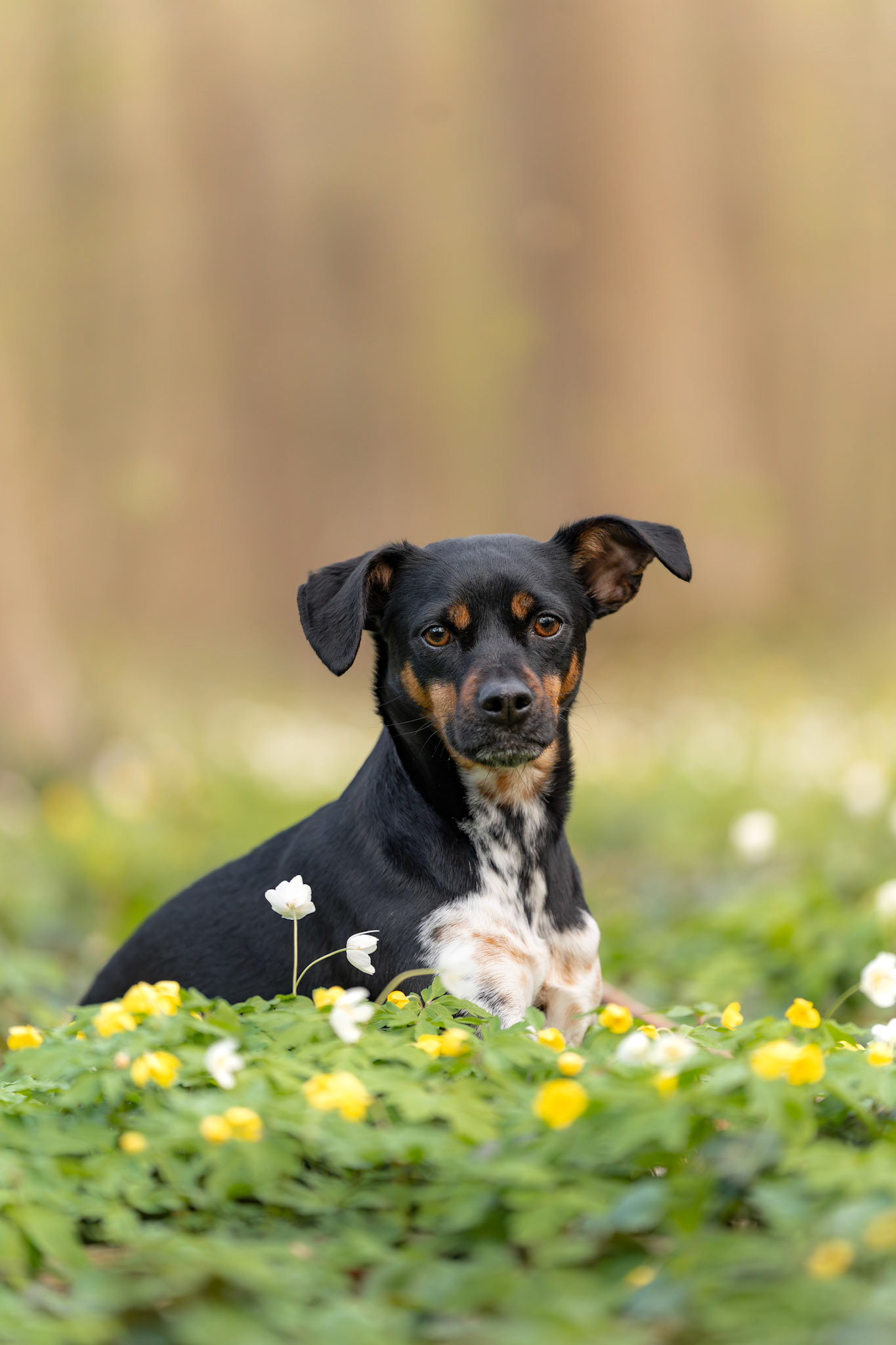 Frühling