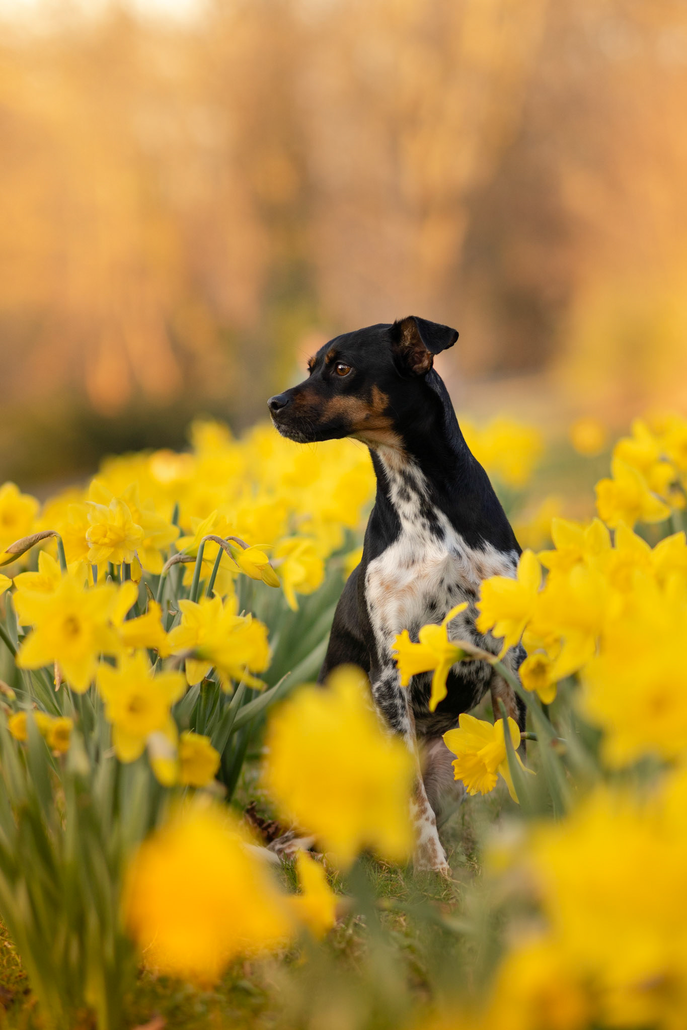 Frühling