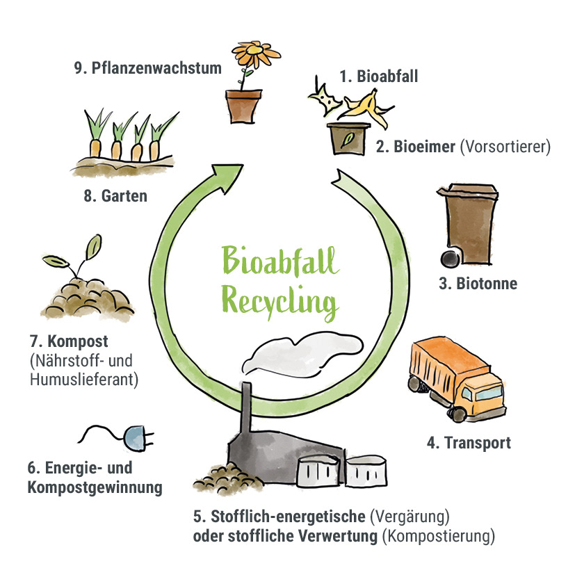 Illustrierte Infografik »Bioabfall«