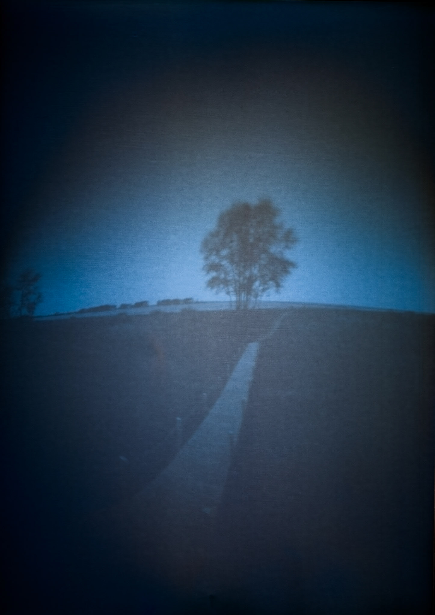 One week exposure