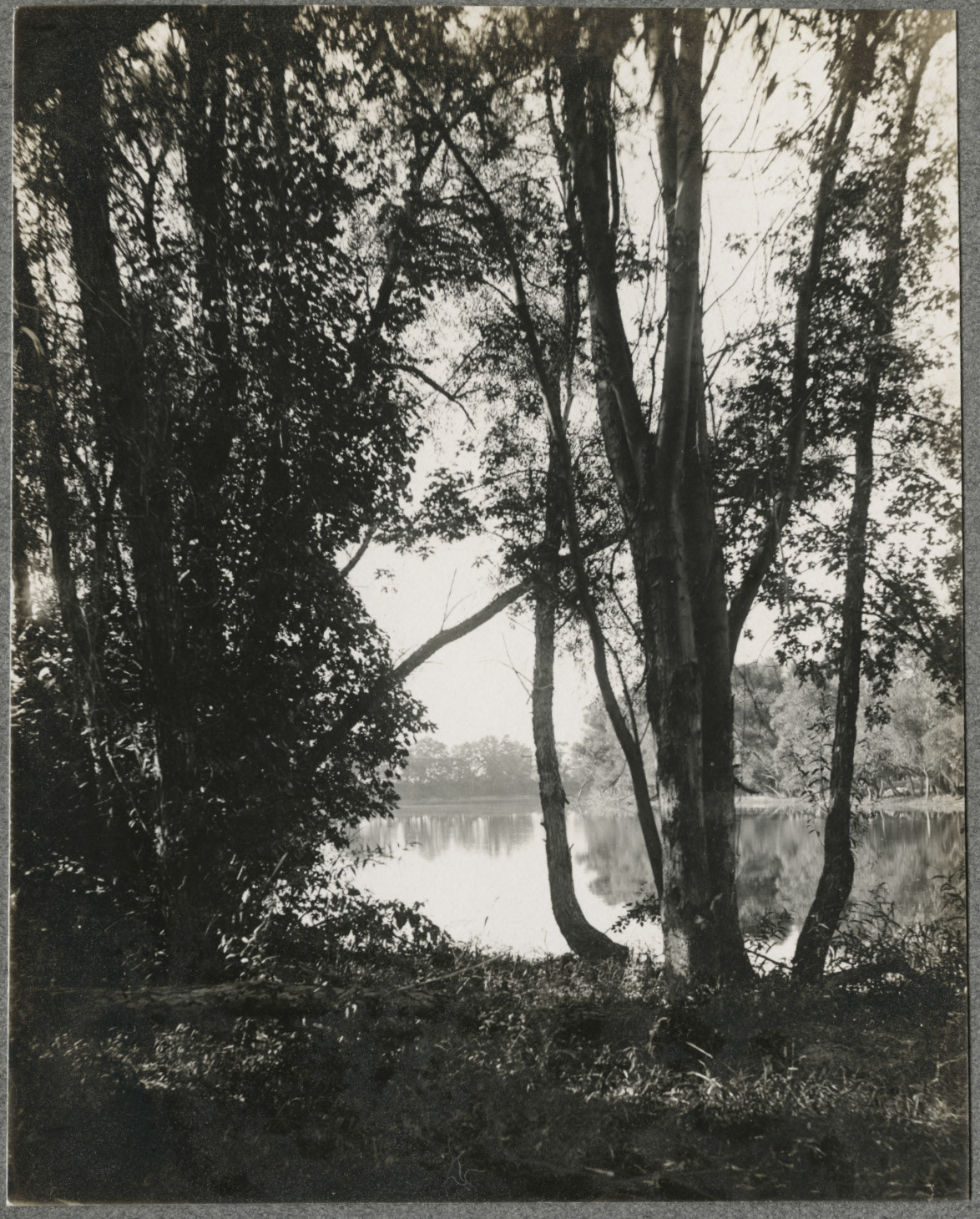 Langenbacher Collection