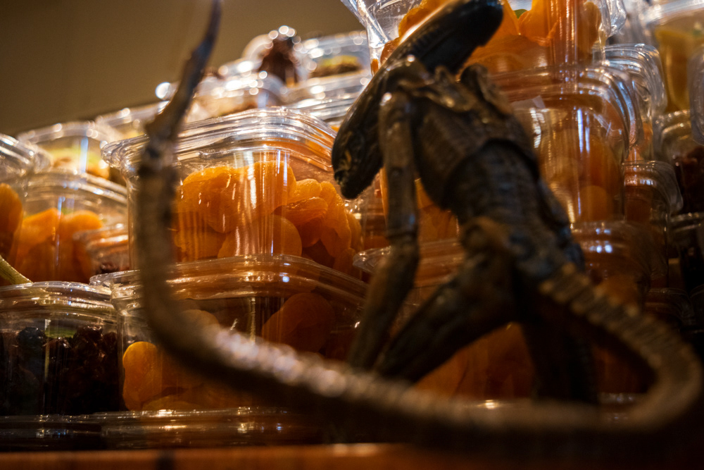 © Victoria Vandenbroucke, All Rights Reserved