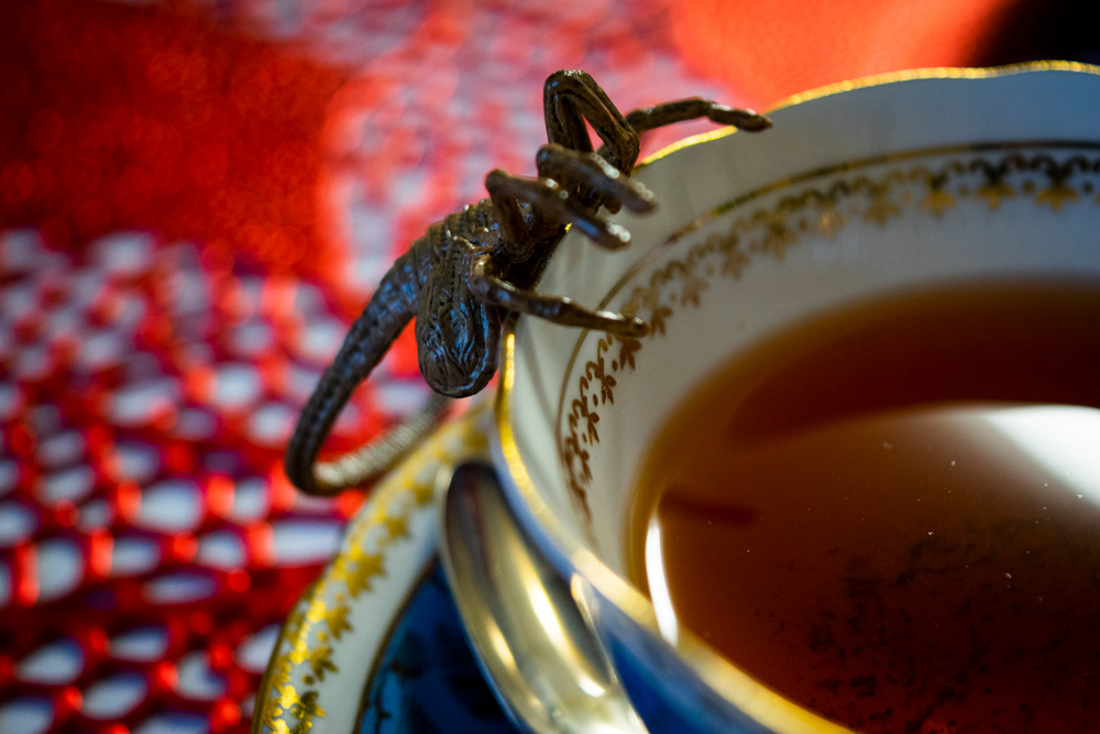 © Victoria Vandenbroucke, All Rights Reserved