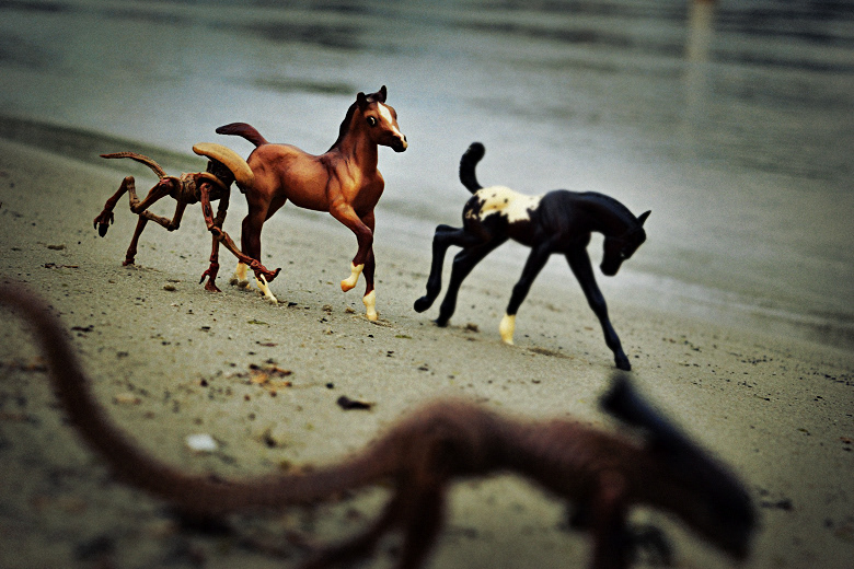 © Victoria Vandenbroucke, All Rights Reserved