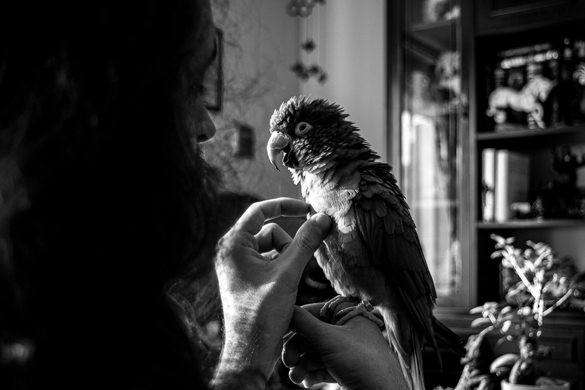 © Victoria Vandenbroucke, All Rights Reserved