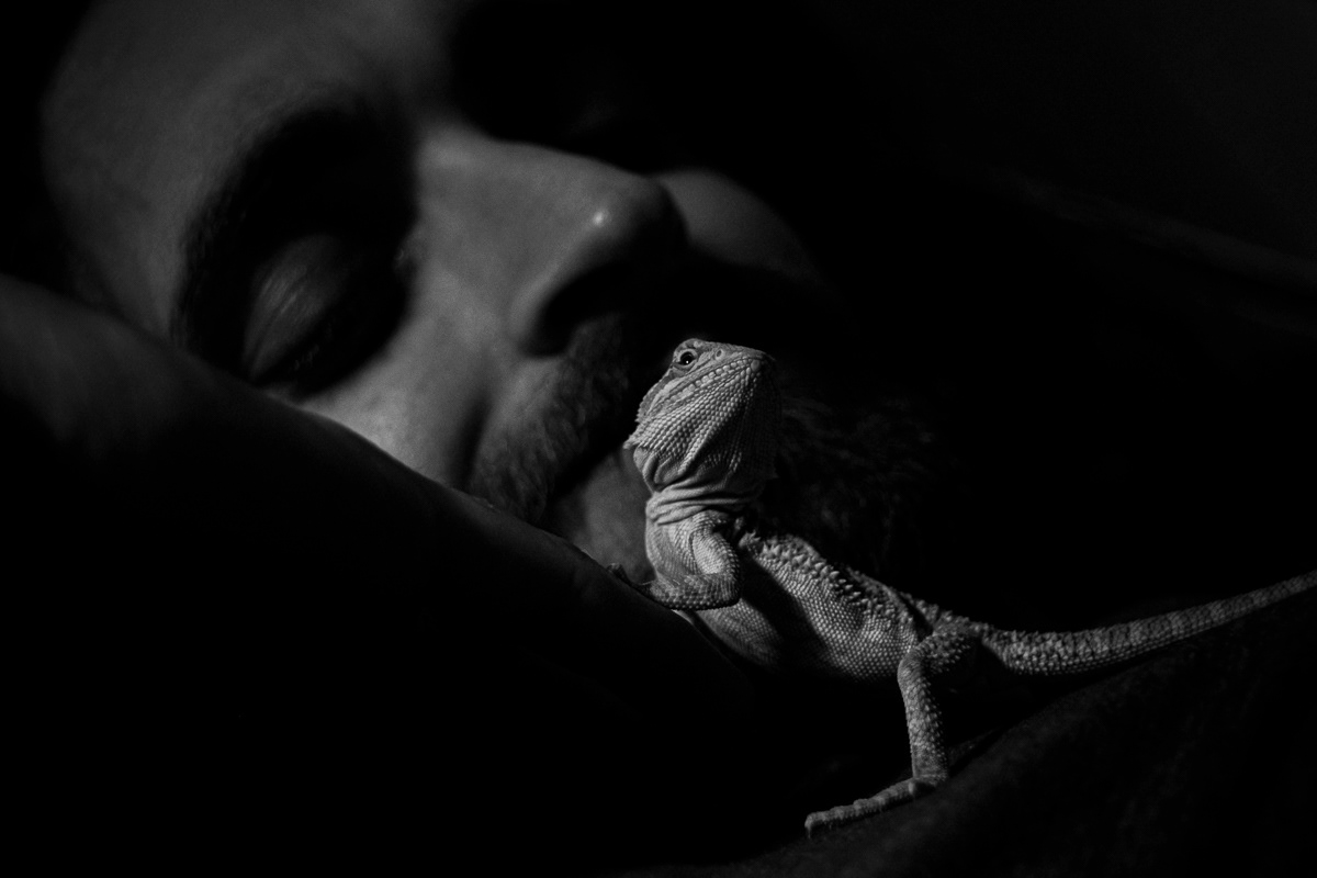 © Victoria Vandenbroucke, All Rights Reserved