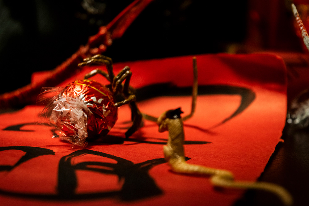 © Victoria Vandenbroucke, All Rights Reserved