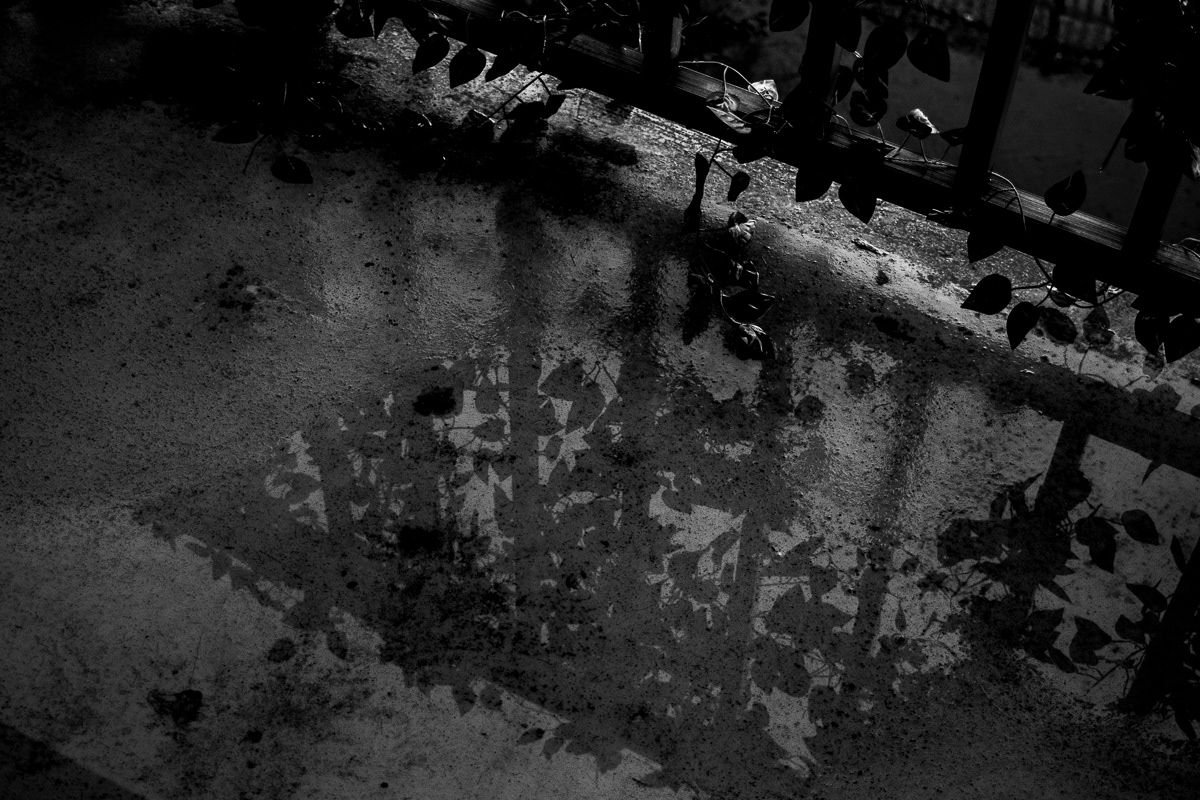 © Victoria Vandenbroucke, All Rights Reserved