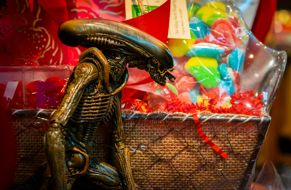 © Victoria Vandenbroucke, All Rights Reserved