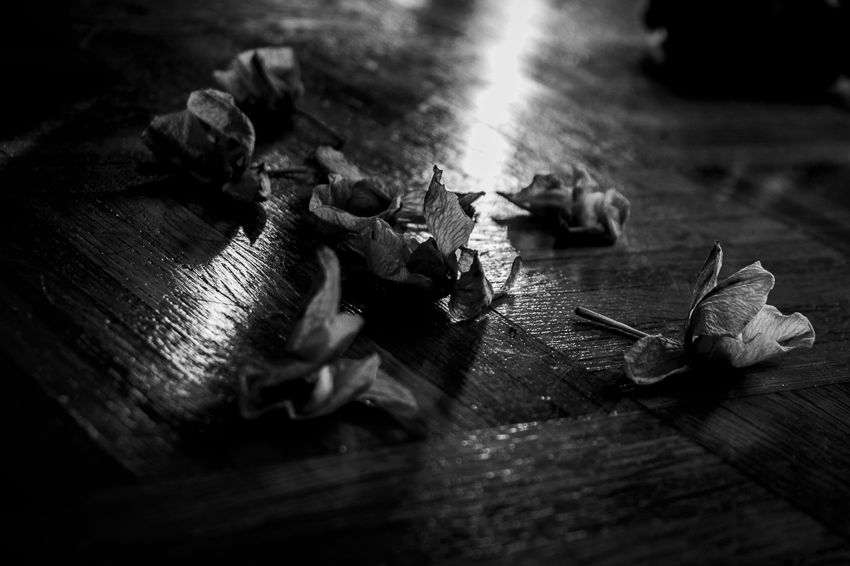 © Victoria Vandenbroucke, All Rights Reserved