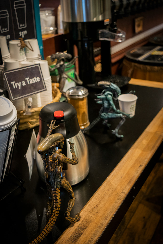 © Victoria Vandenbroucke, All Rights Reserved