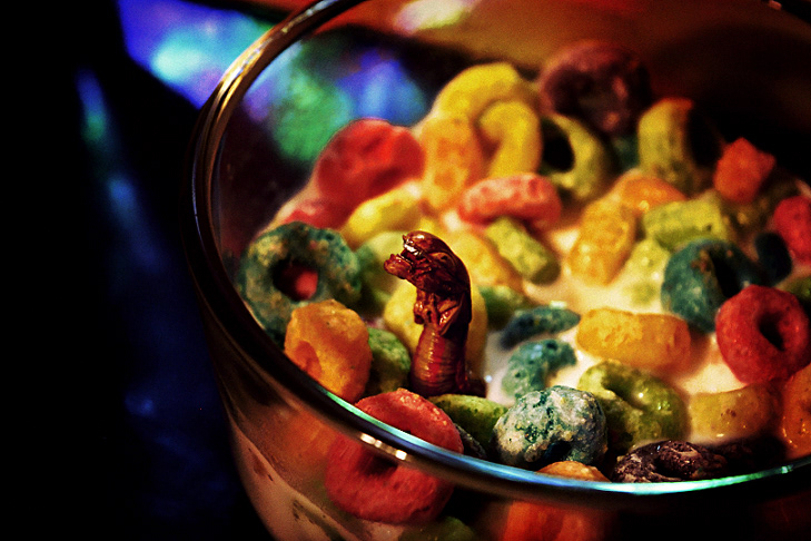 © Victoria Vandenbroucke, All Rights Reserved