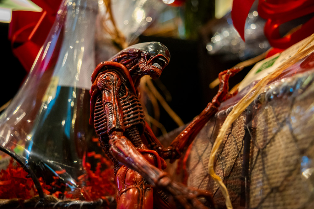 © Victoria Vandenbroucke, All Rights Reserved