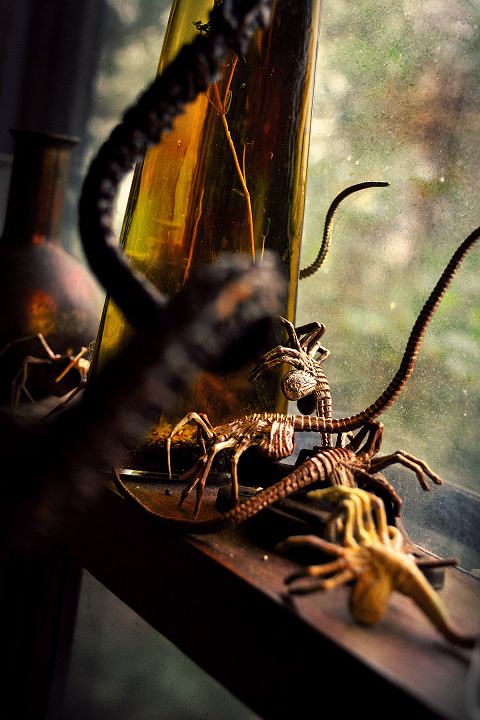 © Victoria Vandenbroucke, All Rights Reserved