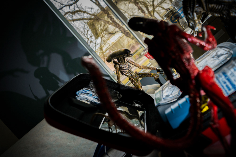 © Victoria Vandenbroucke, All Rights Reserved