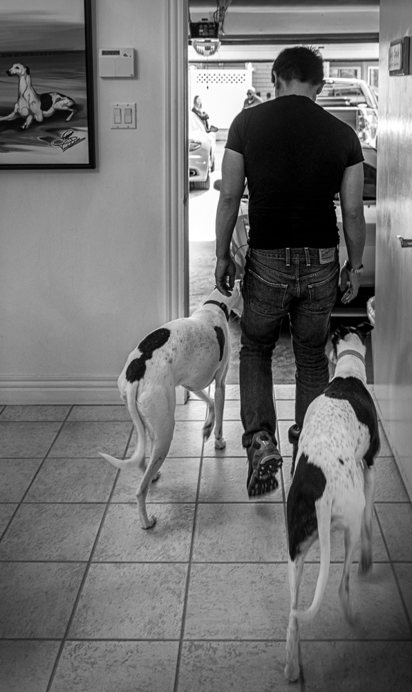 © Victoria Vandenbroucke, All Rights Reserved