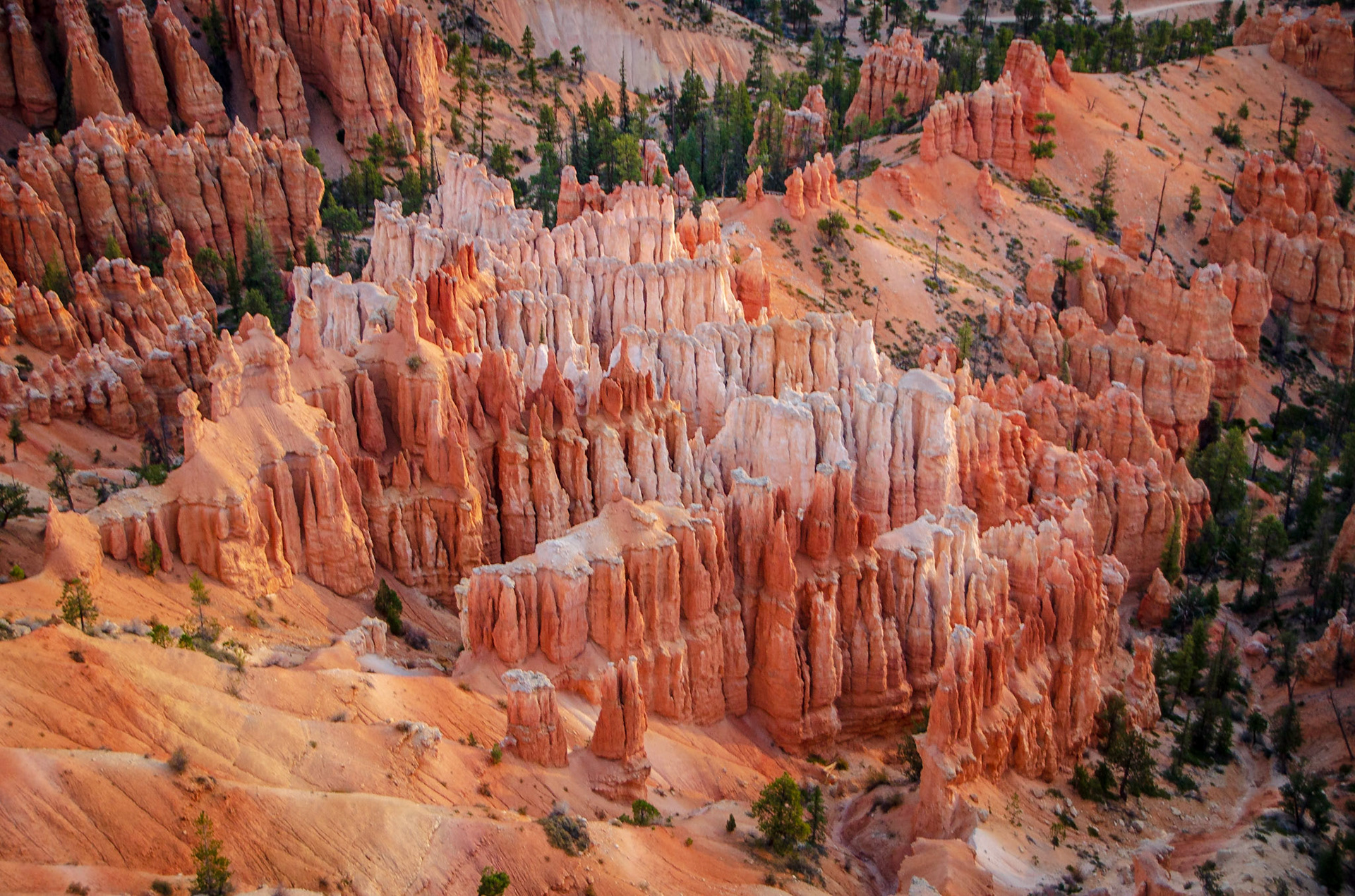 Bryce National Park
