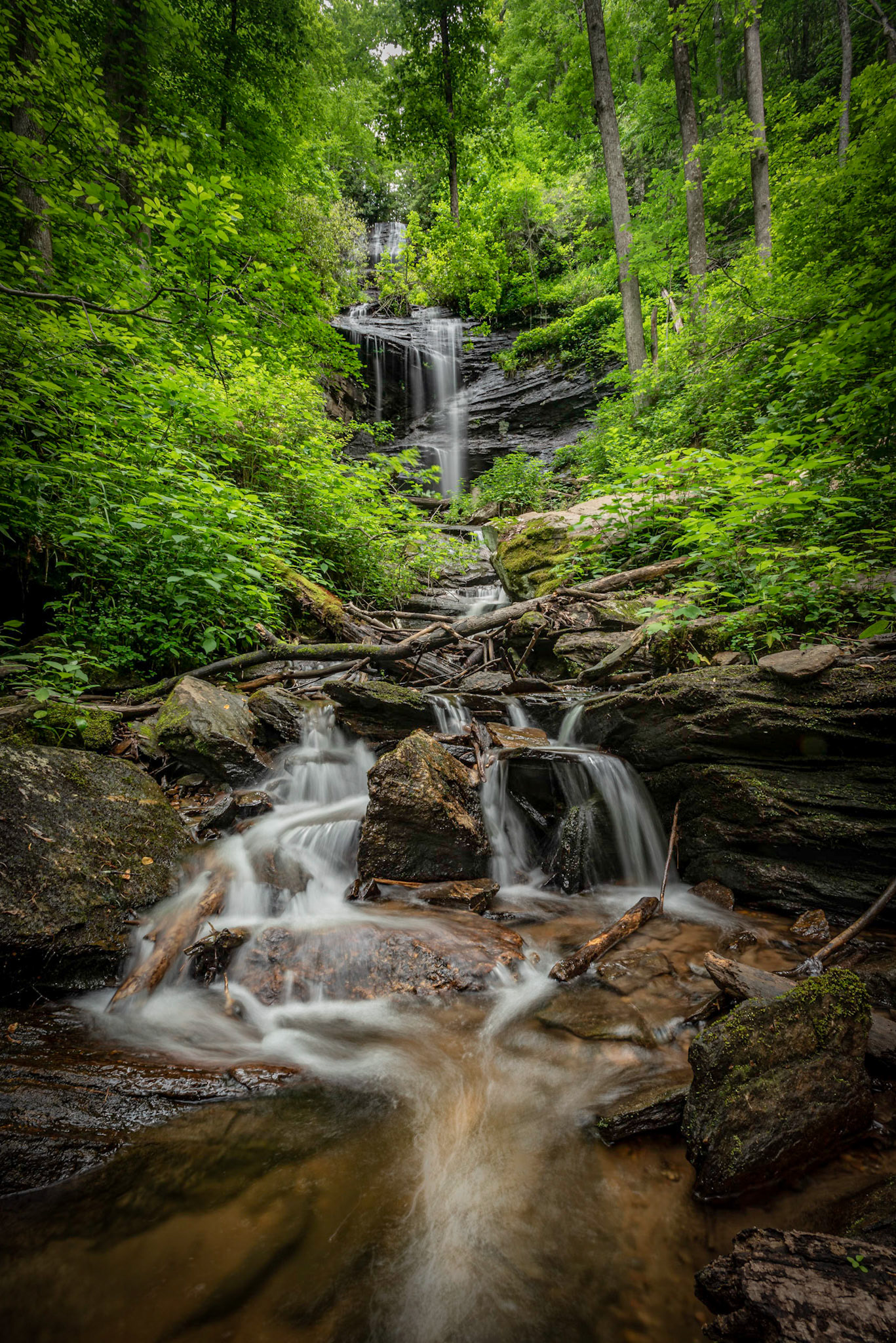 Twin Falls