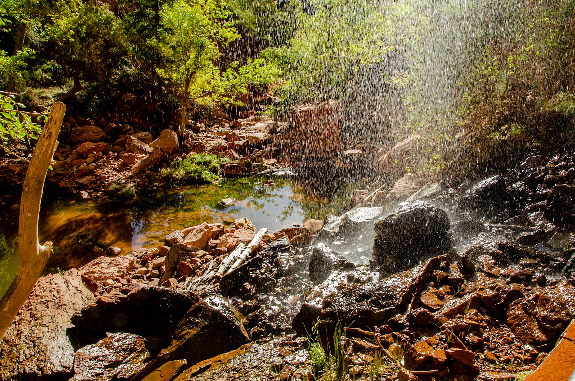 Zion National Park