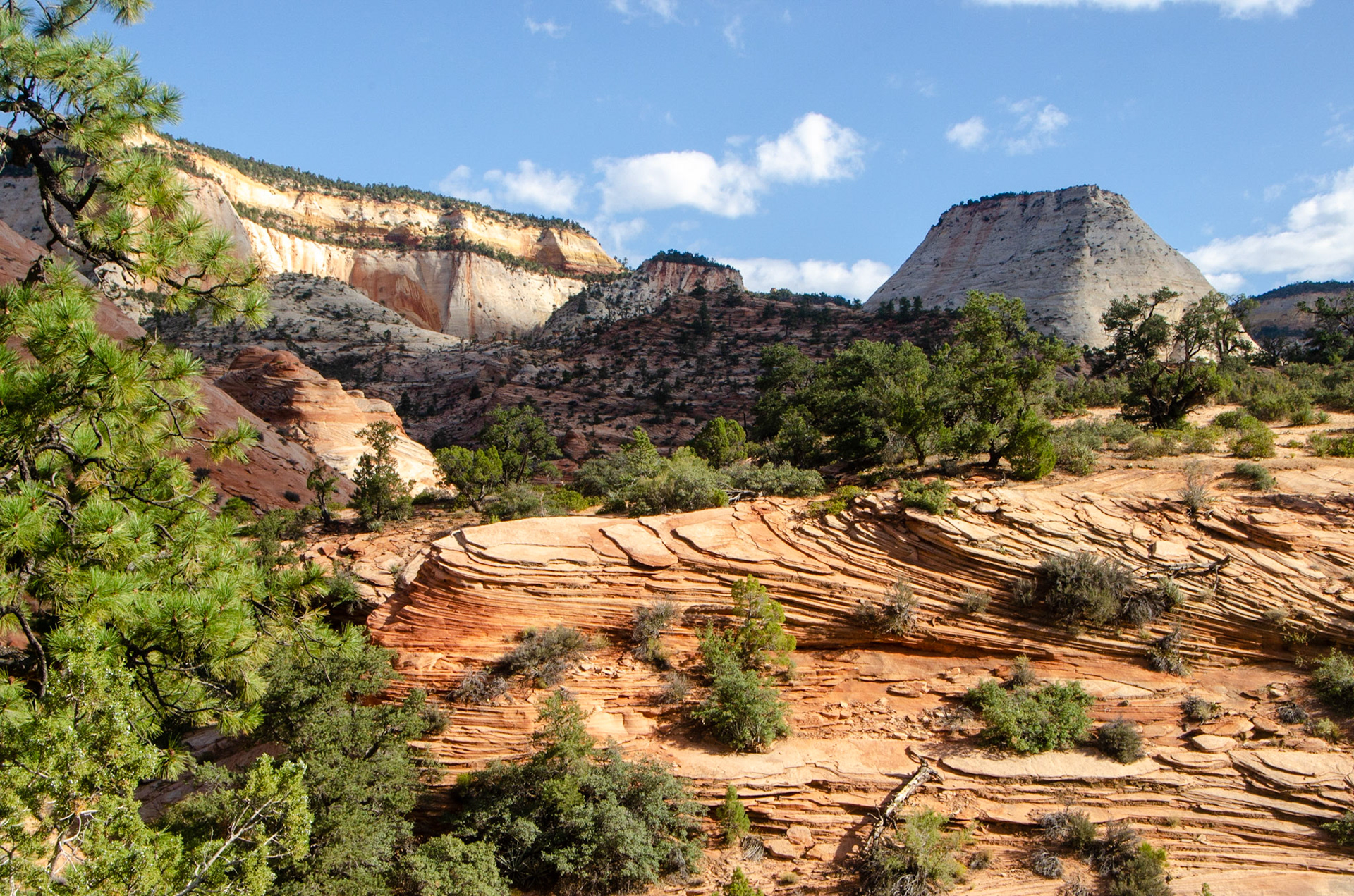 Zion National Park