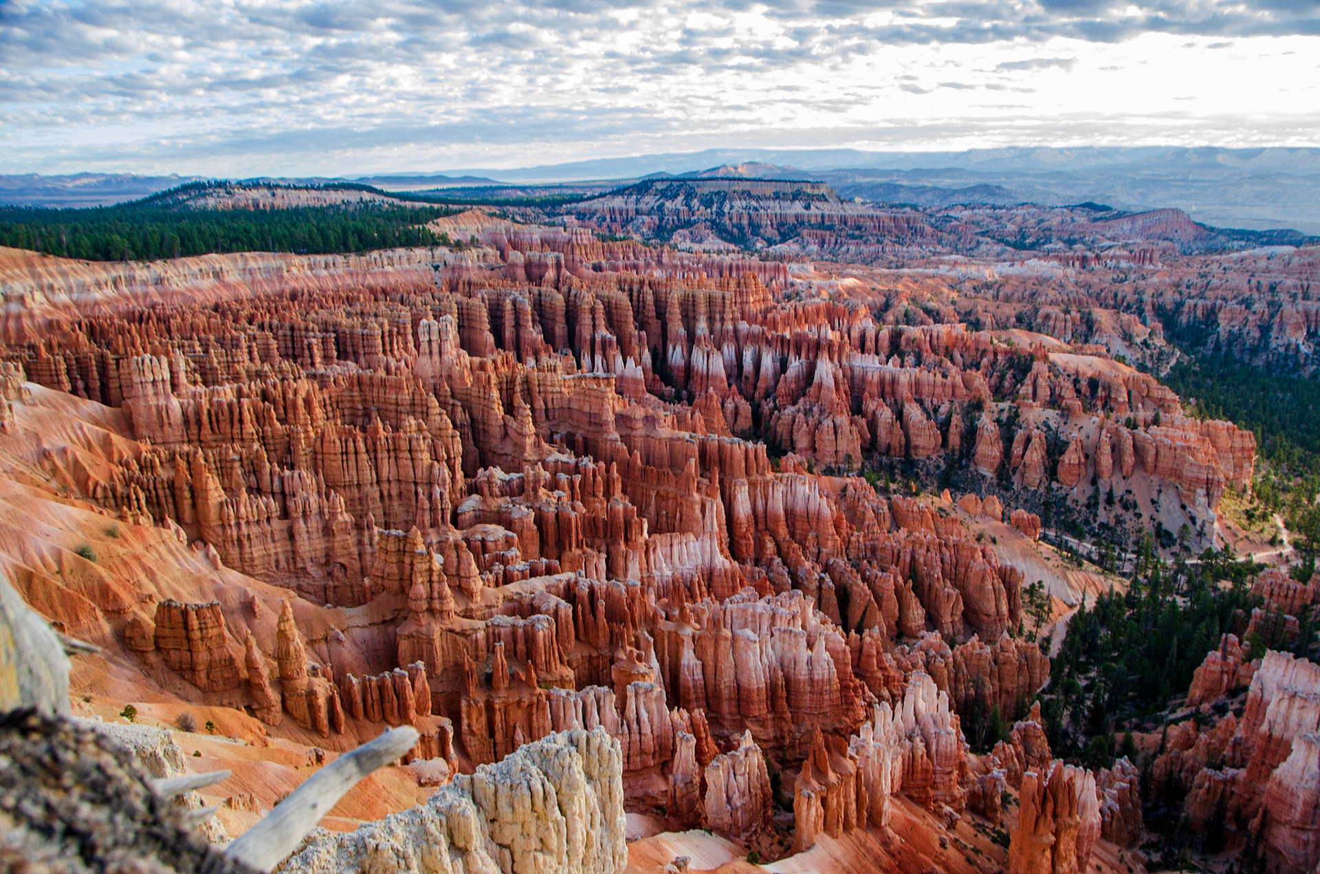 Bryce National Park
