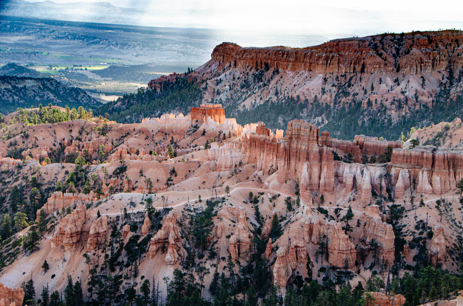 Bryce National Park