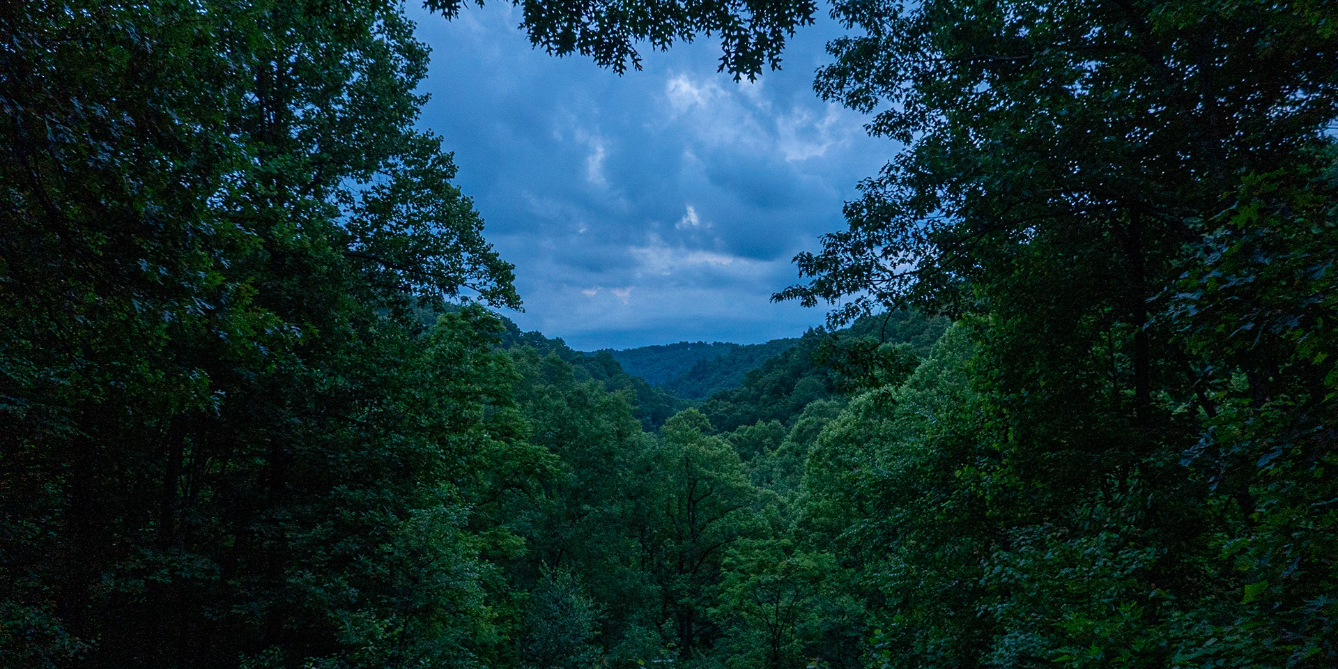 Day 1