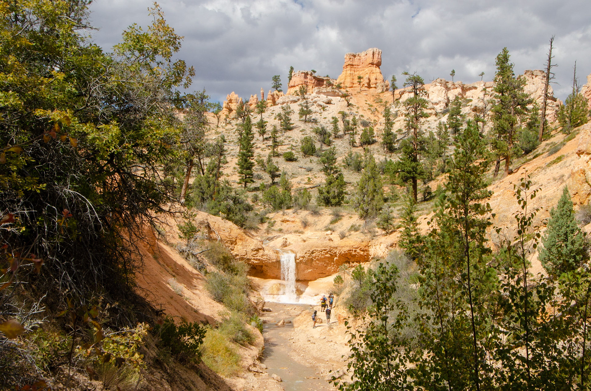 Bryce National Park