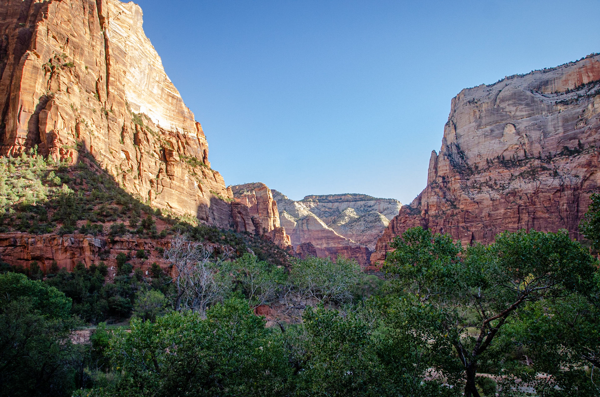 Zion National Park