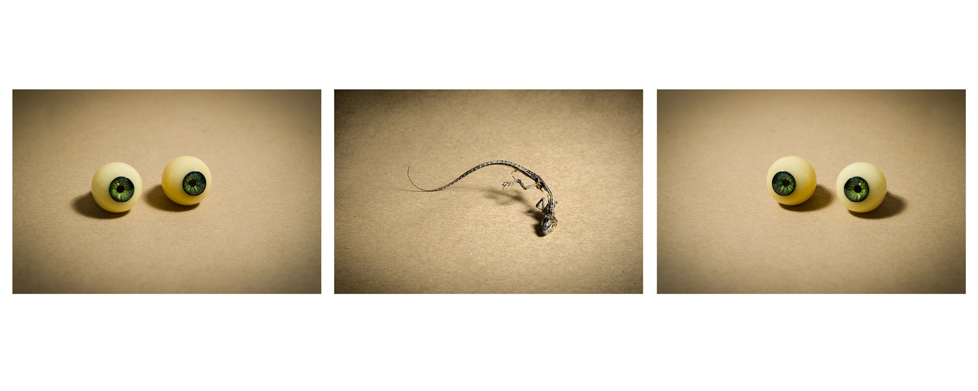 Don't take a Wooden Nickel