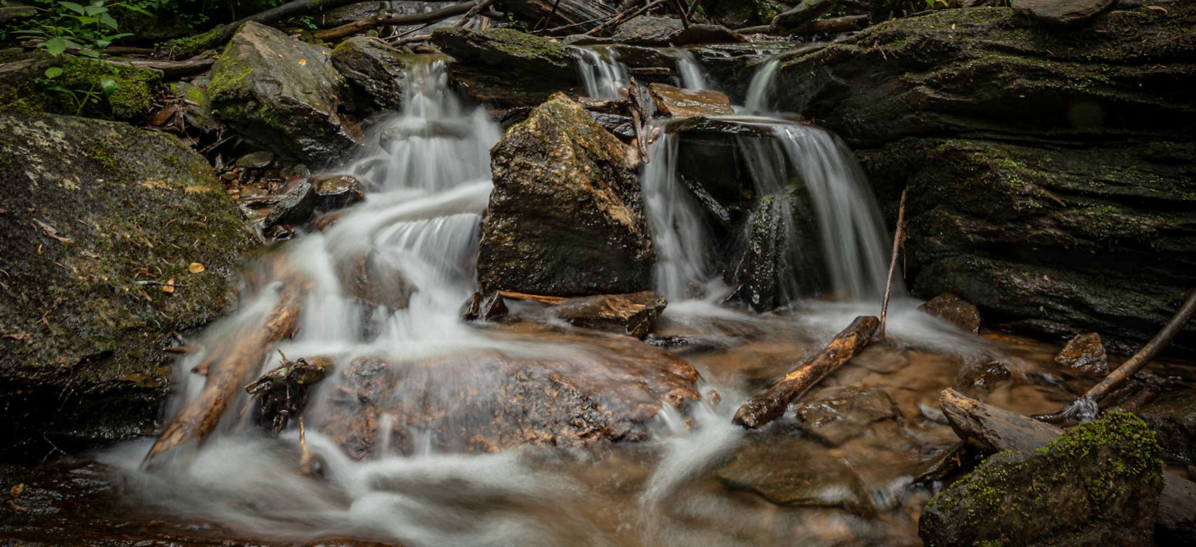 Pisgah Nationa Forest
