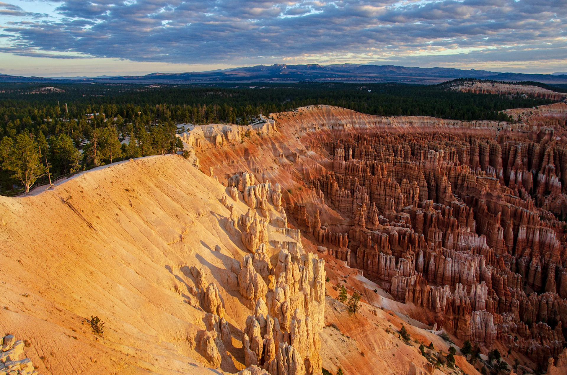 Bryce National Park