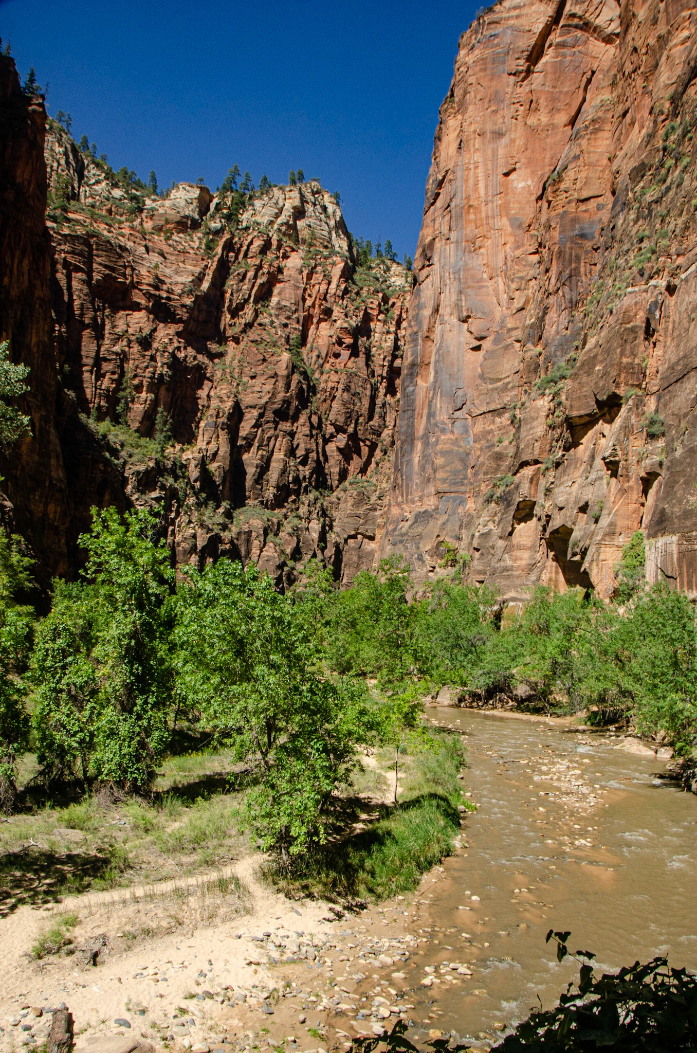 Zion National Park