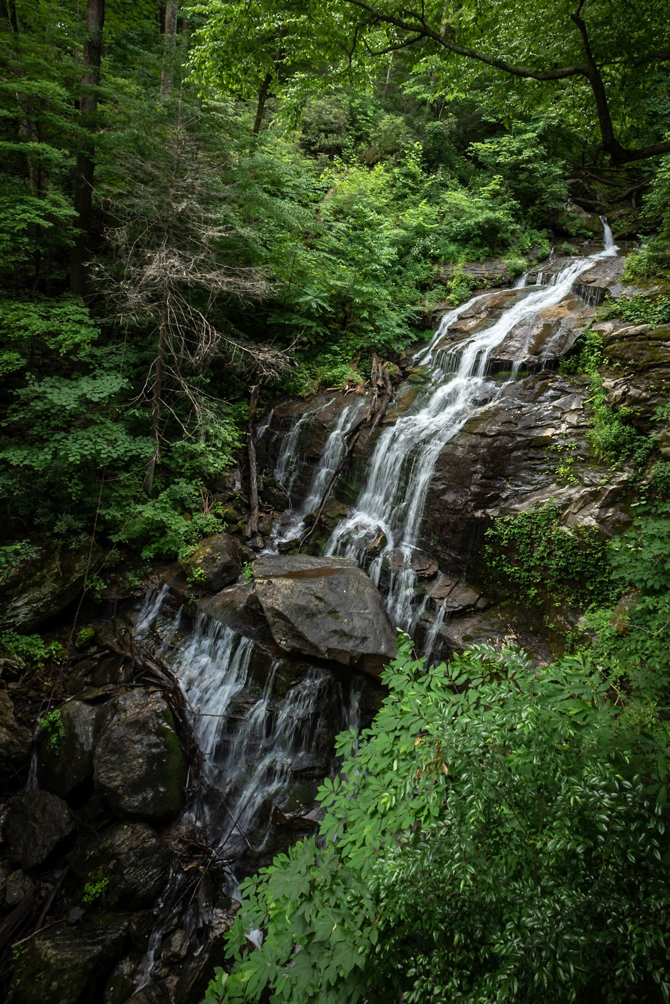 Melrose Falls